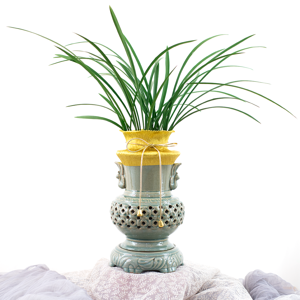  Oriental Orchid 