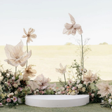  Basic Wedding Package 