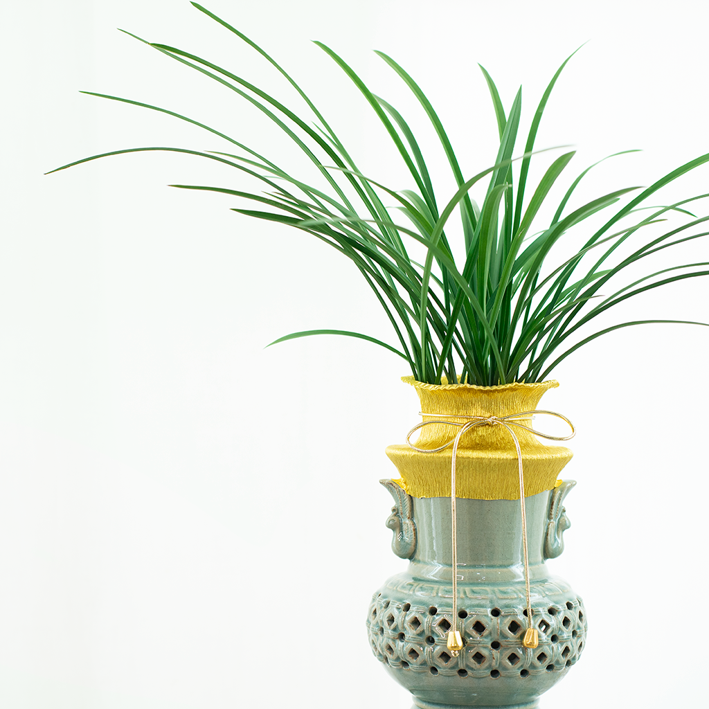  Oriental Orchid 