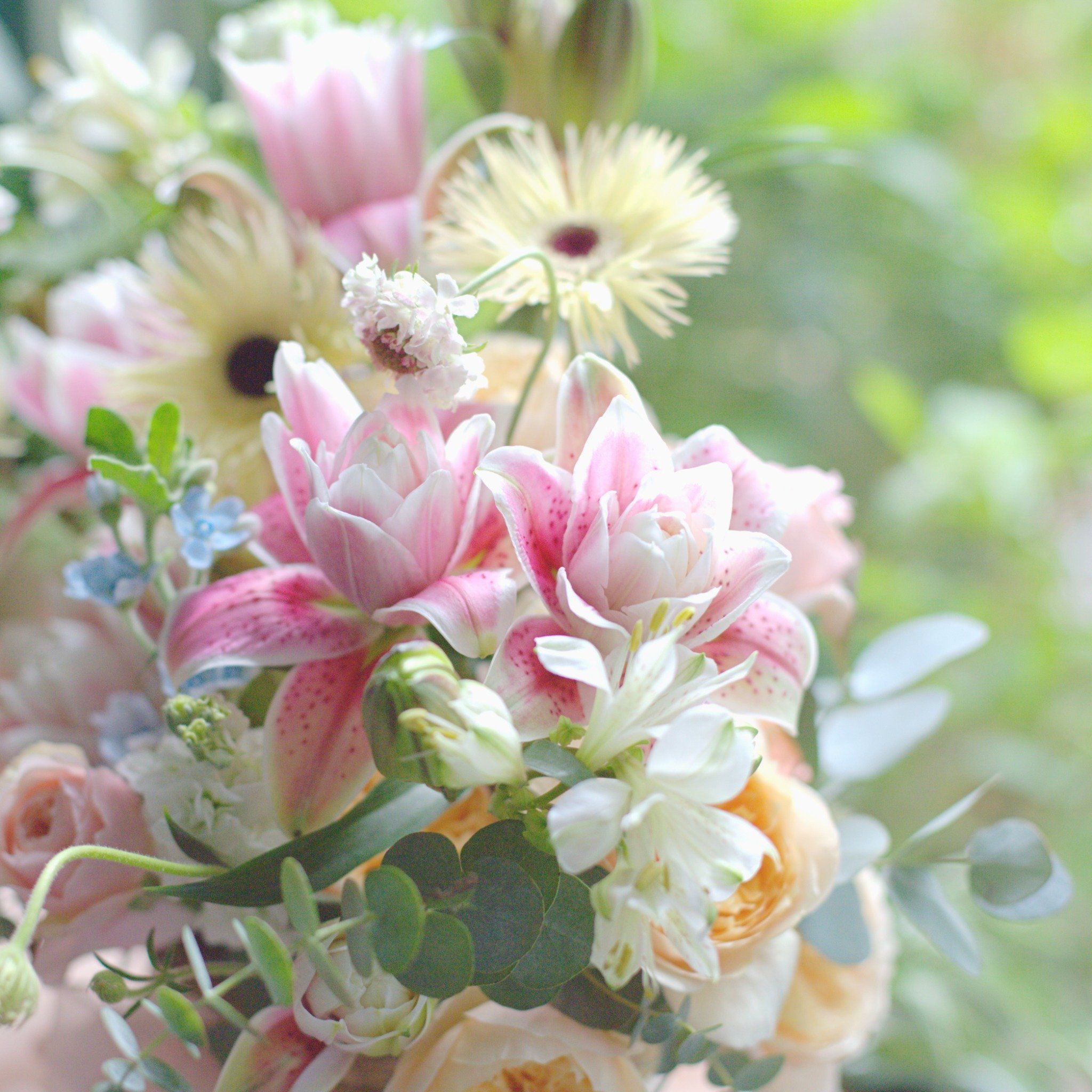  Basket Of Lilies 