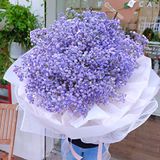  보랏빛 향기 (Violet Fragrance) 
