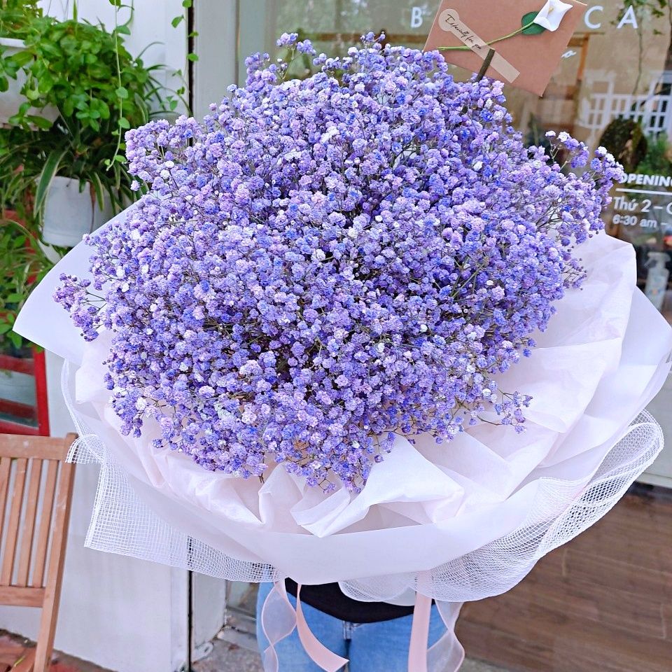  보랏빛 향기 (Violet Fragrance) 