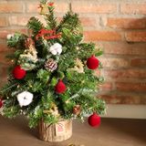  Cây Thông Noel Lấp Lánh 