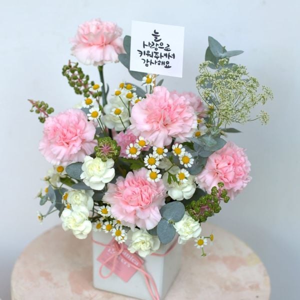  Tình Yêu Dịu Dàng (Pink) 