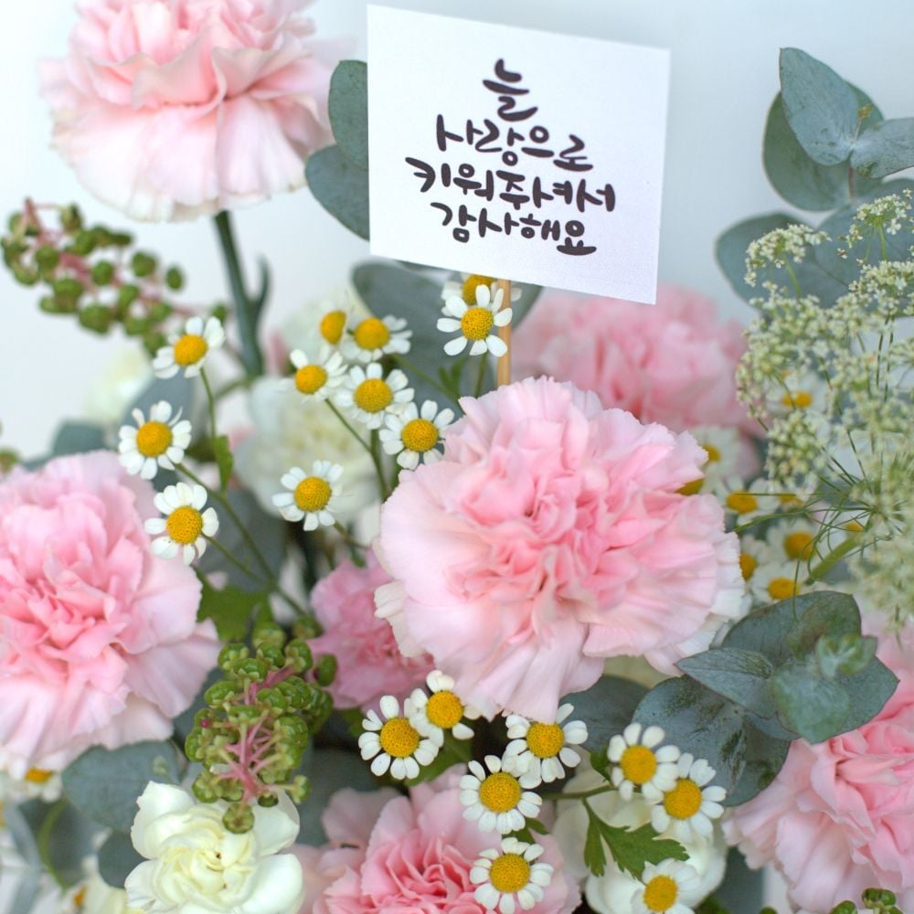  Tình Yêu Dịu Dàng (Pink) 