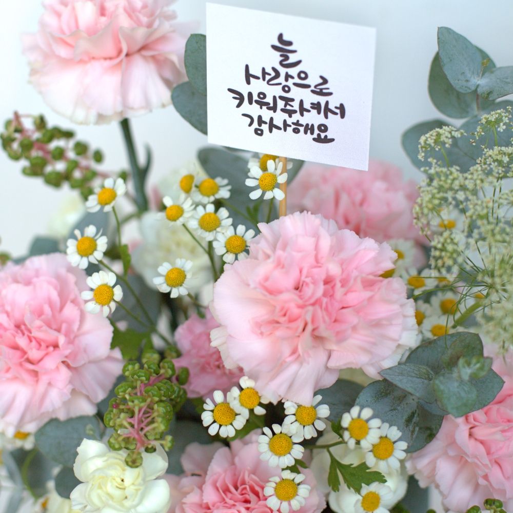  사랑을 담아 (핑크) 