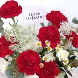  Bó hoa cẩm chướng (Red) 