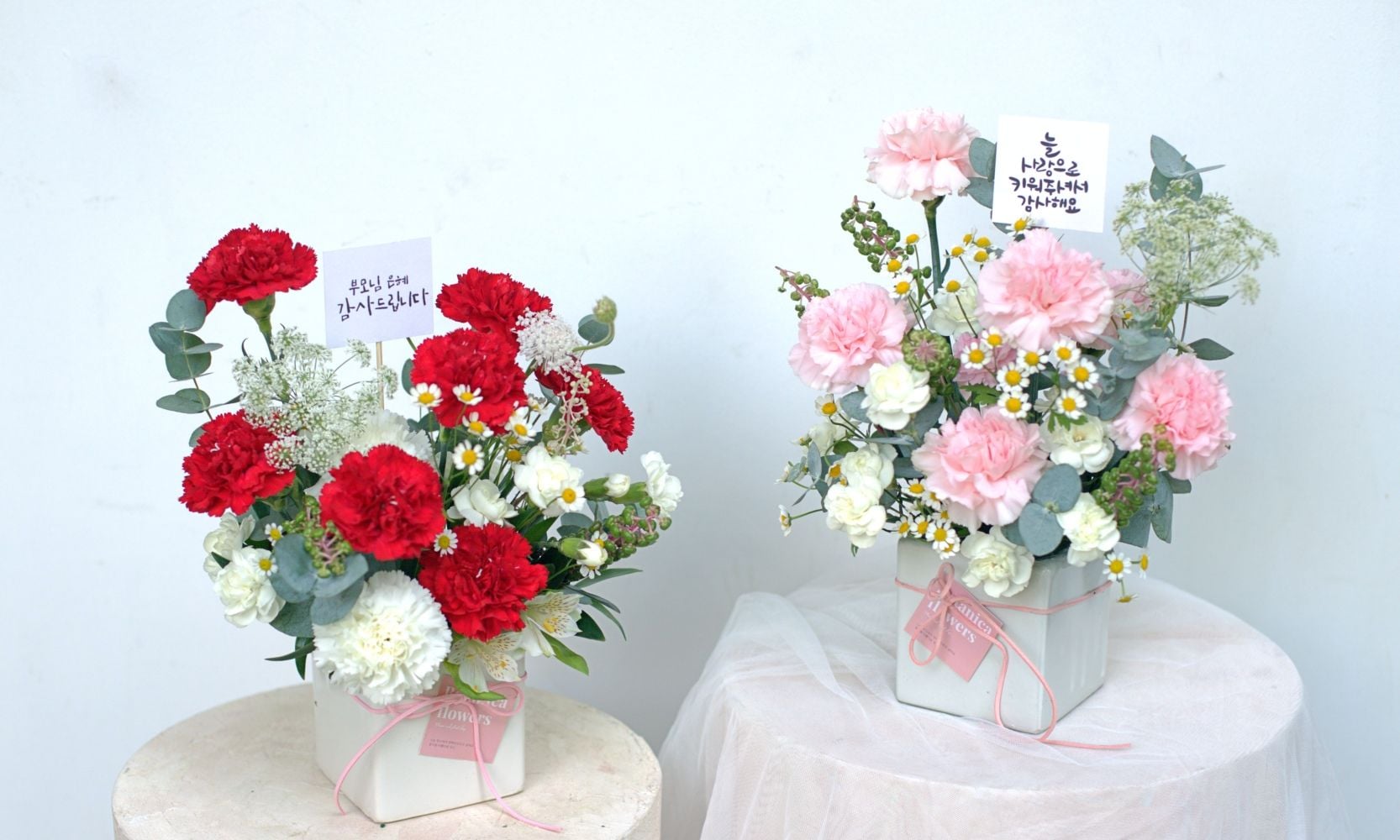  Tình Yêu Dịu Dàng (Pink) 