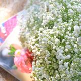  Snowflake Bouquet 