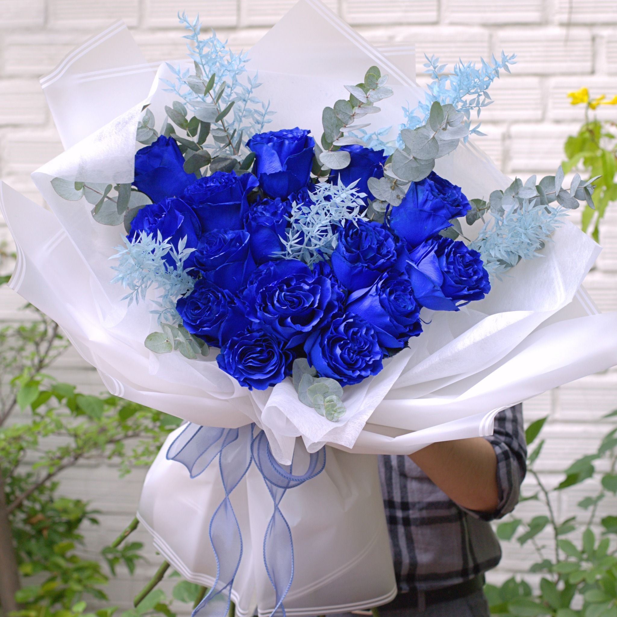  You are my miracle (Ecuador Blue Roses) 