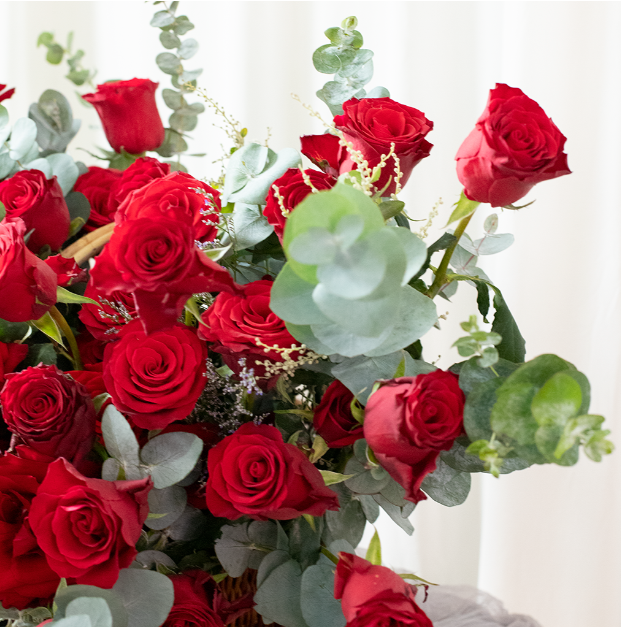  Basket Of Red Roses XL Horizon 