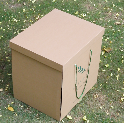  Hộp Hoa Bất Ngờ 