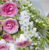  Romantic Garden 