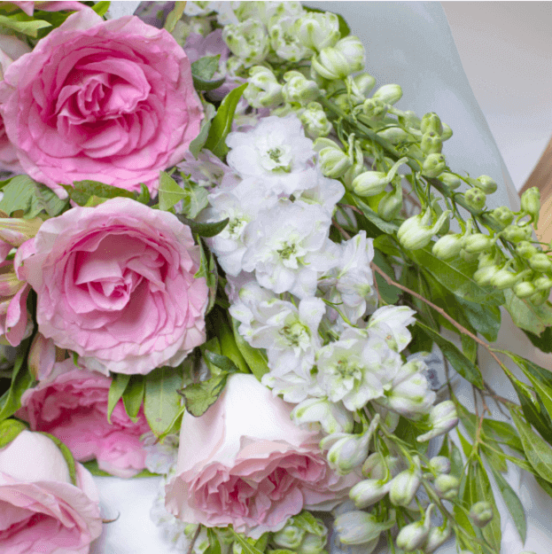  Romantic Garden 