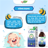  Siro Ho Coflex Lọ 120ml 