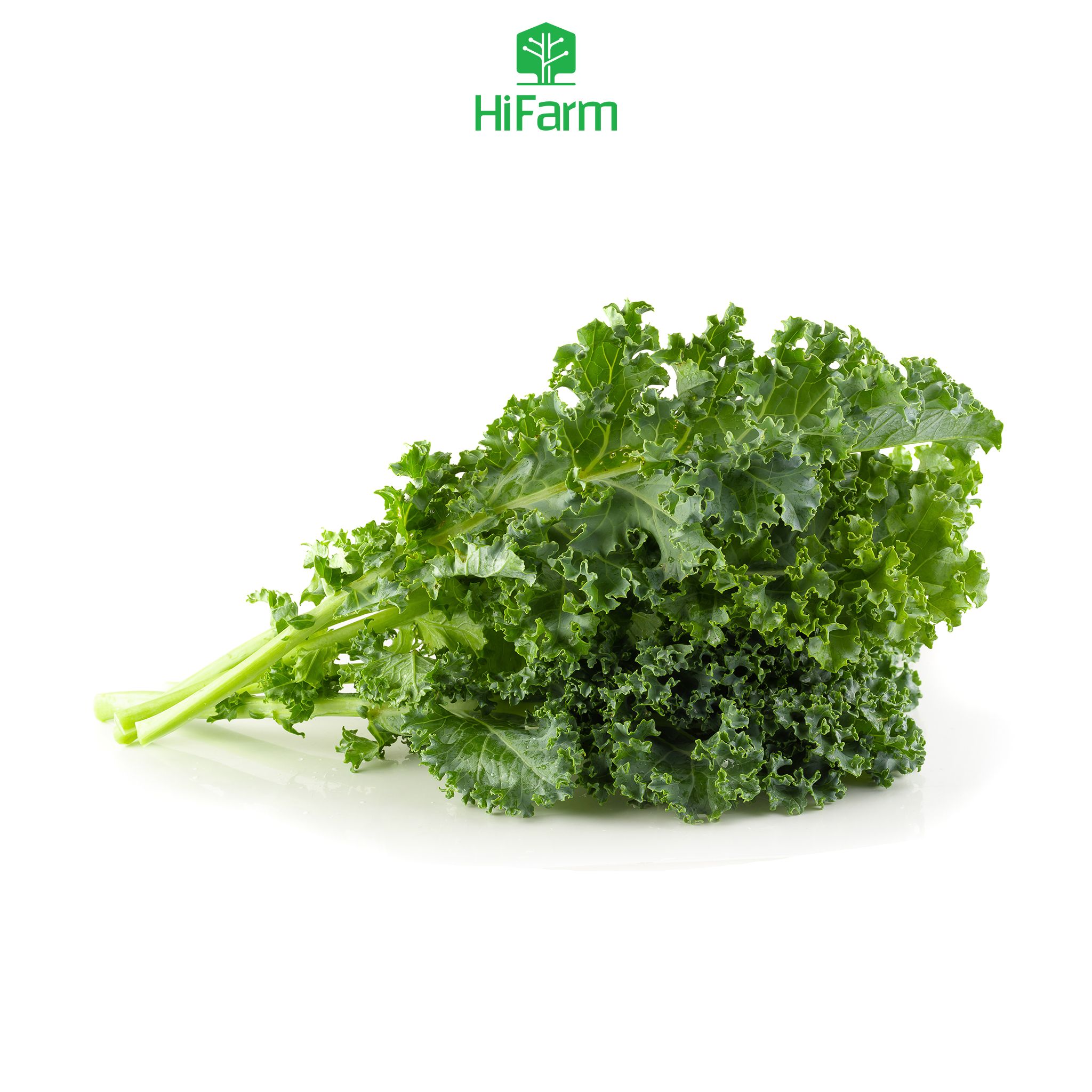  Cải Kale 500gram 