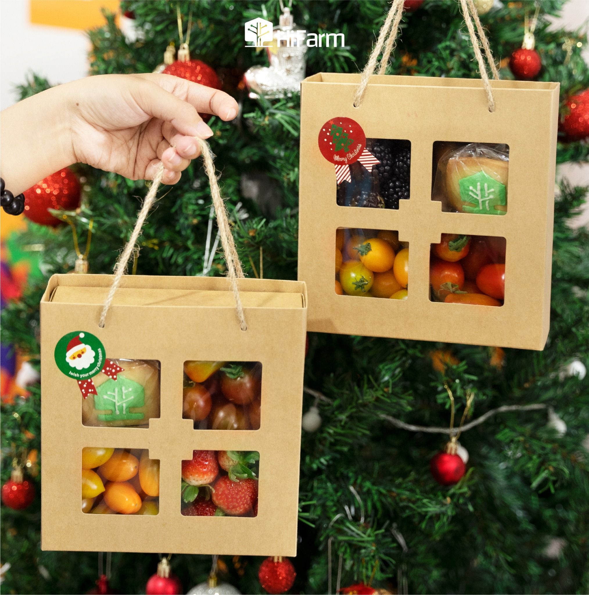  Christmas Cookies Gift Box 