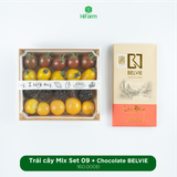  Trái cây Mix + Chocolate Belvie 