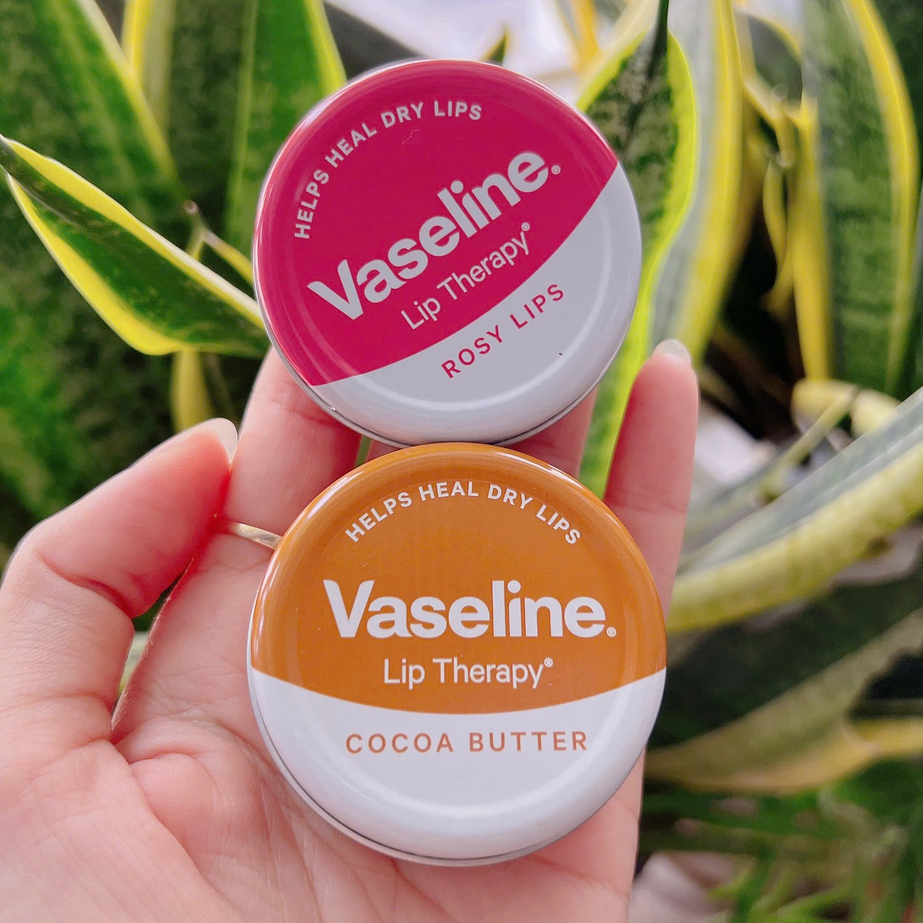 Son dưỡng môi Vaseline Lip Therapy 20g