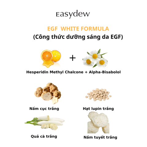 Tinh Chất Easydew DW-EGF Melatoning Oneday Ampoule Hỗ Trợ Làm Sáng Da, Cải Thiện Độ Đàn Hồi, Nếp Nhăn (1ml*7 ống)