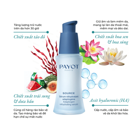 Serum PAYOT Source Adaptogen Rehydrating Serum phục hồi cấp nước căng bóng da 30ml