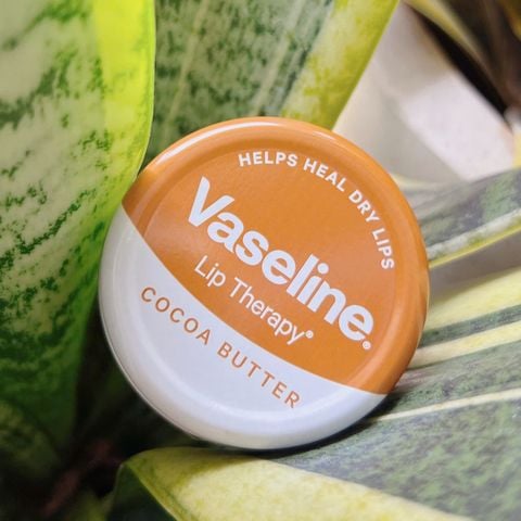 Son dưỡng môi Vaseline Lip Therapy 20g