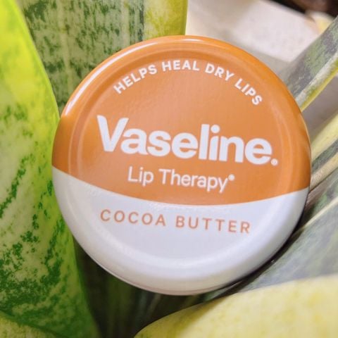 Son dưỡng môi Vaseline Lip Therapy 20g