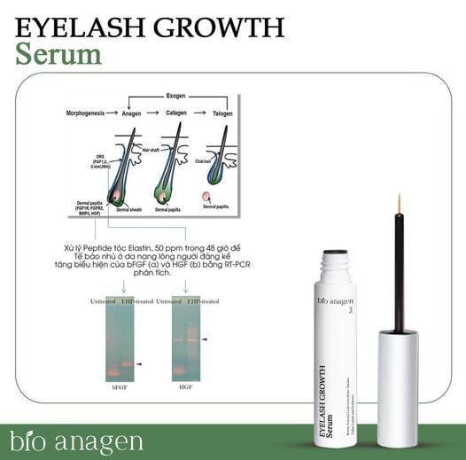 EyeLash Growth Serum - Tinh Chất Dưỡng Mi, Làm Dày, Dài Mi, Ngăn Ngừa Gãy Rụng 5ml