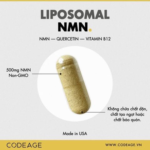 Viên uống Codeage Liposomal NMN hỗ trợ cải thiện sức khỏe hộp 90v NMN TPBS