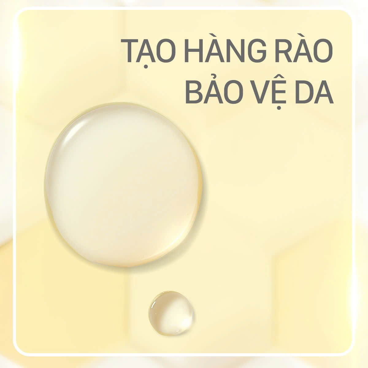 CNP Laboratory Propolis - Tinh chất keo ong tái tạo phục hồi