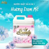  Nước Giặt xả hương Đam Mê 6 in 1 Scanly giúp giữ màu bền bỉ, làm mềm từng sợ vải 3.2-5kg 