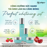  Bộ 04 SP tái sinh, phục hồi da căng bóng Sennio - SENNIO SNO 832 