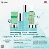  Bộ 06 SP tái sinh, phục hồi da căng bóng Sennio - SENNIO SNO 833 