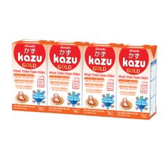 Sữa bột pha sẵn Aiwado Kazu Gold Phát Triển Toàn Diện 110ml - thùng 48 hộp (trên 12 tháng)