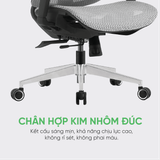  Ghế Công Thái Học UpGen Revolution bản nâng cấp 2025 