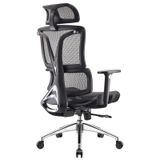  Ghế Công Thái Học Ergonomic 1608 Đen 