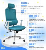  Ghế Công Thái Học EA02 