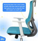  Ghế Công Thái Học EA02 