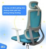  Ghế Công Thái Học EA02 