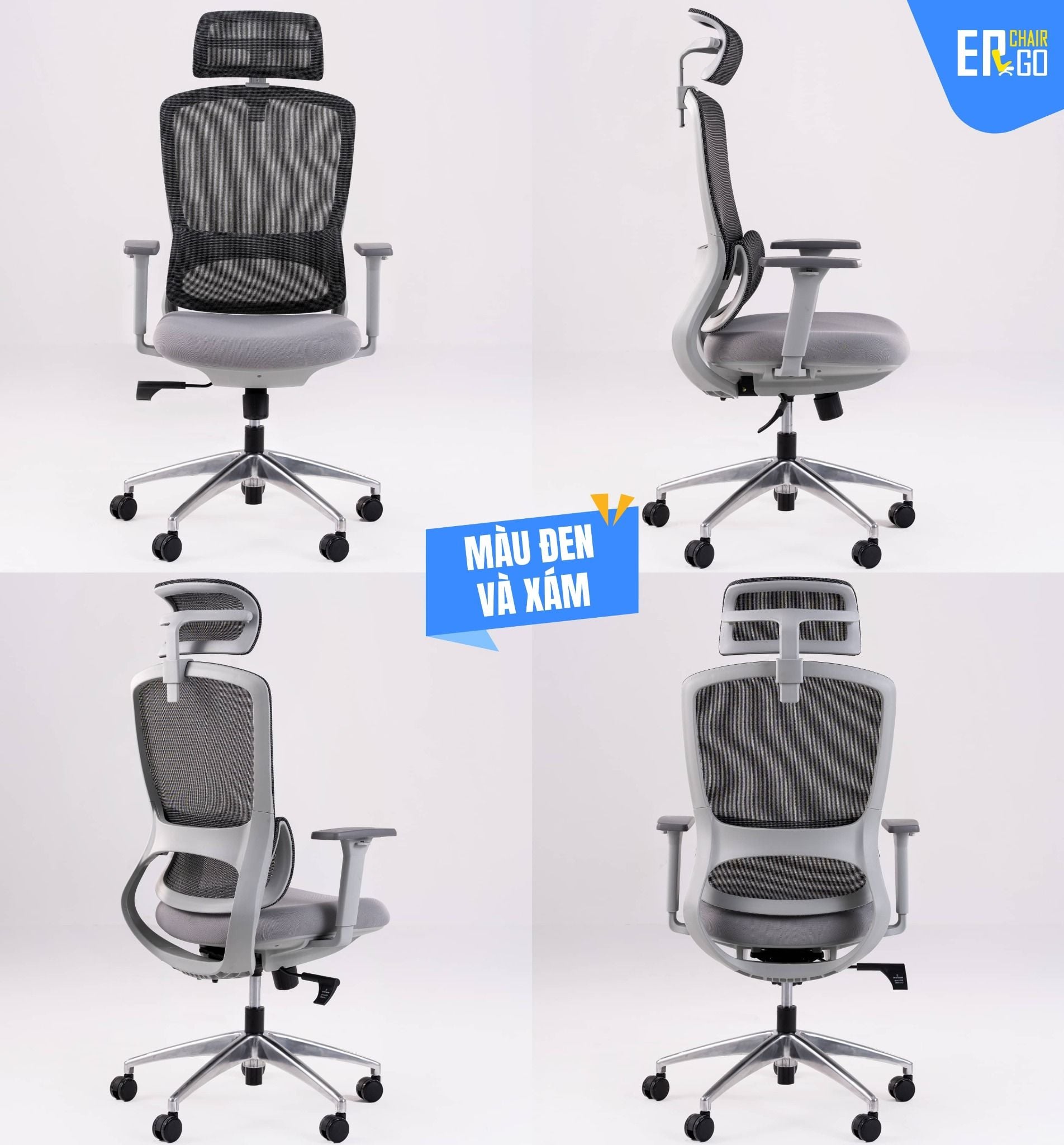  Ghế Công Thái Học Gami Focus phiên bản V1 và V2 