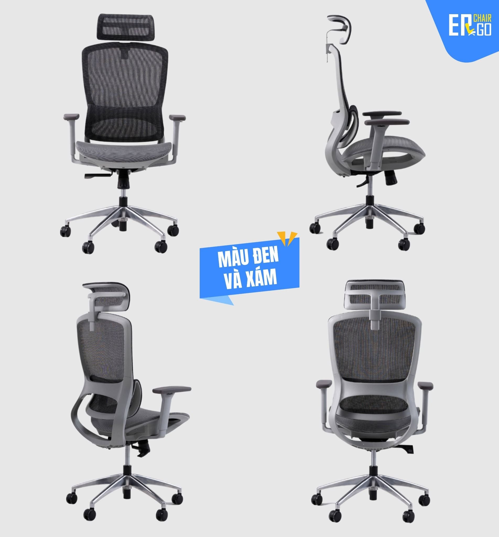  Ghế Công Thái Học Gami Focus phiên bản V1 và V2 