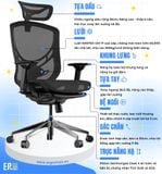  Ghế Công Thái Học GTChair I-VINO MT (Bảo hành 12 năm) 