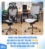  Ghế Công Thái Học GTChair I-VINO MT (Bảo hành 12 năm) 