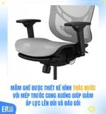  Ghế Công Thái Học GTChair I-VINO MT (Bảo hành 12 năm) 