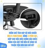  Ghế Công Thái Học GTChair I-VINO MT (Bảo hành 12 năm) 