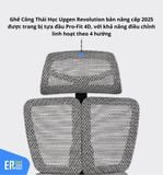  Ghế Công Thái Học UpGen Revolution bản nâng cấp 2025 