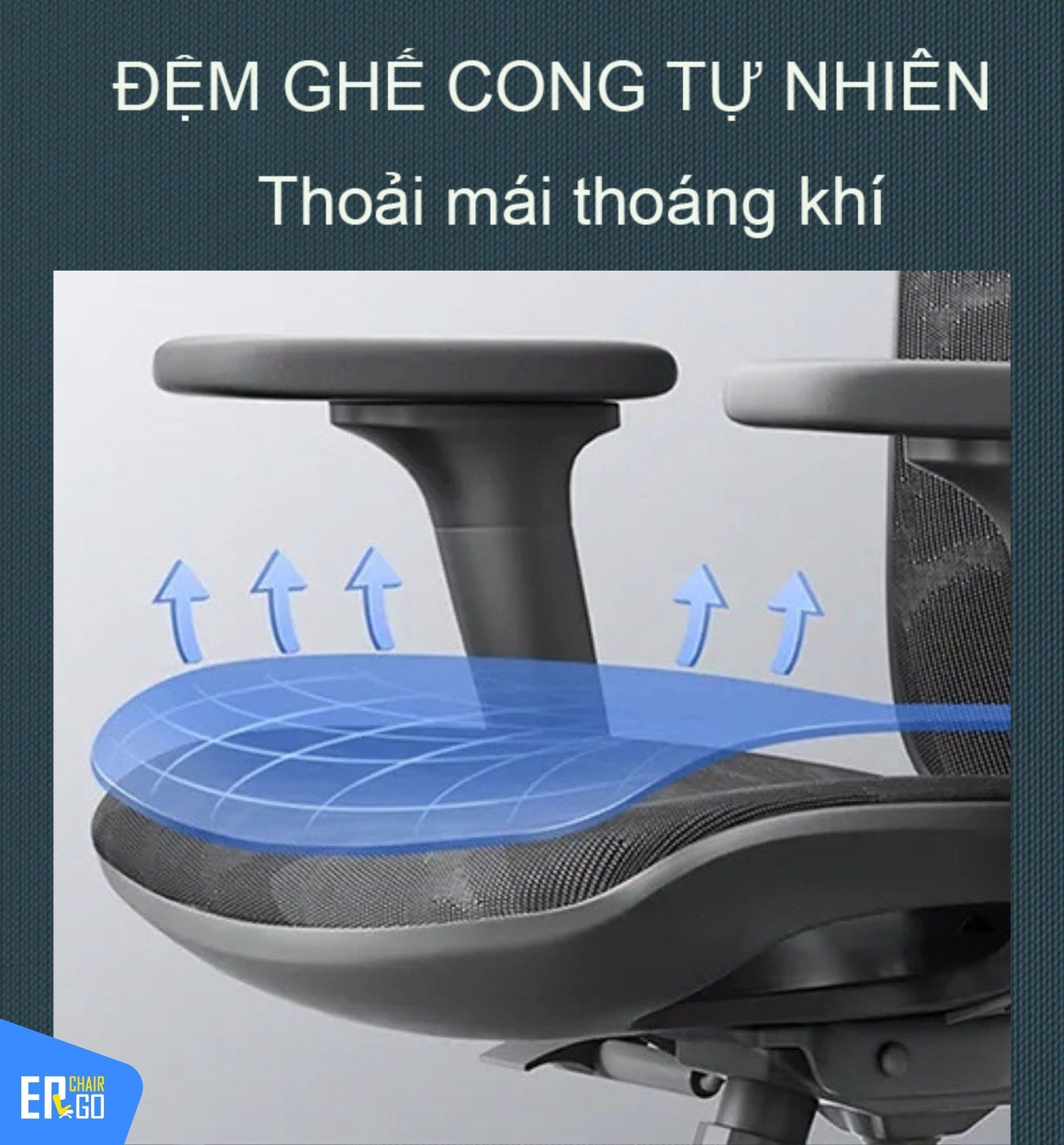  Ghế Công Thái Học Sihoo M57 