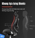  Ghế Công Thái Học Sihoo V1 