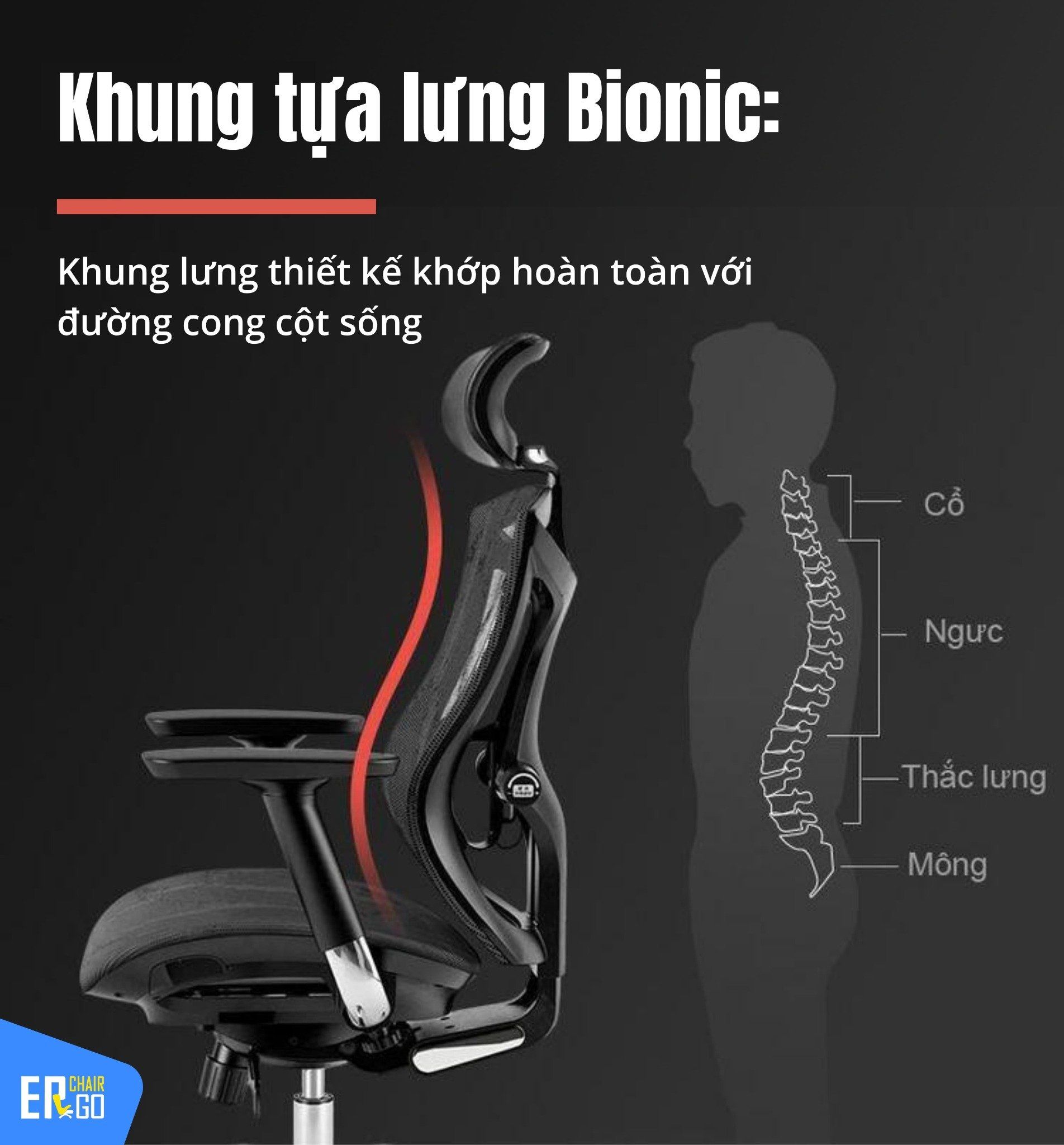  Ghế Công Thái Học Sihoo V1 