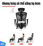  Ghế Công Thái Học Sihoo V1 